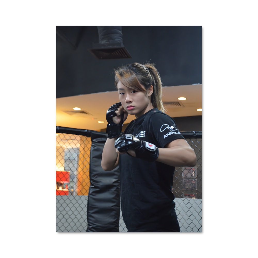 Poster Garde de l'Ombre – affiche MMA